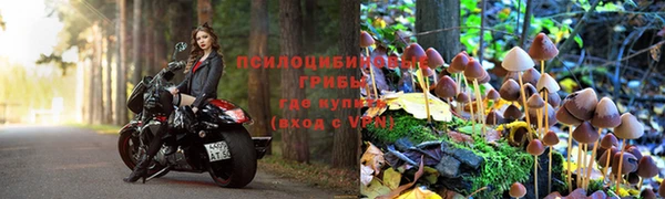 тгк Балабаново