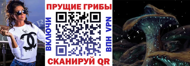 Галлюциногенные грибы мухоморы  Усть-Джегута 